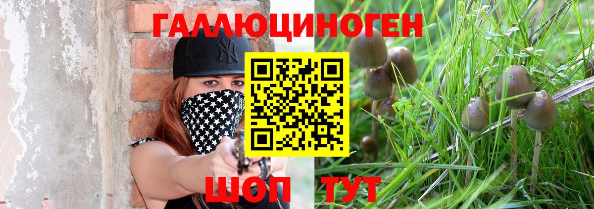 Галлюциногенные грибы Psilocybe Лабытнанги
