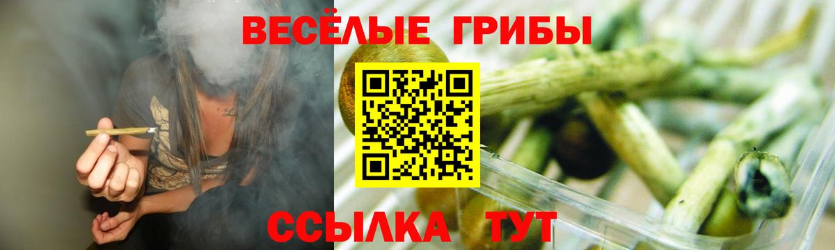 Галлюциногенные грибы мухоморы  Вход с VPN  Лабытнанги  Галлюциногенные грибы Psilocybe 